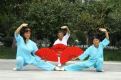傳承傳統文化，弘揚中華武術精神
